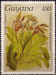 Colnect-3977-390-Cypripedium-sanderianum.jpg