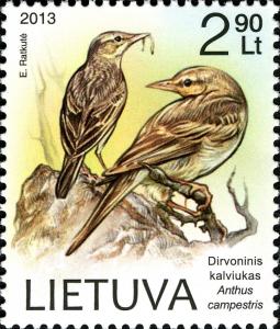 Colnect-1938-514-Tawny-Pipit-Anthus-compestris.jpg