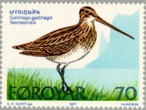 Colnect-157-750-Common-Snipe-Gallinago-gallinago.jpg