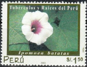 Colnect-2347-564-Ipomoea-batatas.jpg