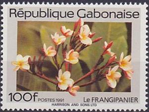 Colnect-2790-154-Frangipanier-Plumeria-alba.jpg