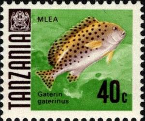 Colnect-4912-072-Sweetlips-Gaterin-gaterinus.jpg