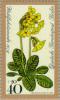 Colnect-155-376-Oxlip-Primula-elatior.jpg