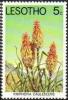 Colnect-1730-110-Kniphofia-caulescens.jpg