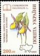 Colnect-316-099-Cypripedium-calceolus-L.jpg