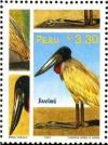 Colnect-1672-937-Jabiru-Jabiru-mycteria.jpg