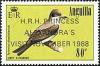 Colnect-1925-355-Gray-Kingbird-Tyrannus-dominicensis.jpg