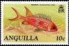 Colnect-2770-187-Longspine-Squirrelfish-Holocentrus-rufus-.jpg