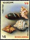 Colnect-3012-990-Spiral-shaped-shells.jpg