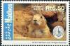 Colnect-4211-202-Prairie-Dog-Cynomys-sp.jpg