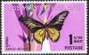 Colnect-484-218-Golden-Birdwing-Troides-aeacus.jpg