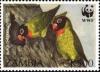 Colnect-488-959-Black-cheeked-Lovebird-Agapornis-personata-nigrigenis.jpg