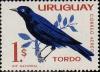 Colnect-491-710-Glossy-Cowbird-Molothrus-bonariensis.jpg