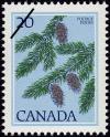 Colnect-832-693-Douglas-fir-Pseudotsuga-menziesii.jpg