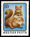 Colnect-906-721-Red-Squirrel-Sciurus-vulgaris.jpg