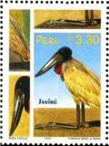 Colnect-1672-937-Jabiru-Jabiru-mycteria.jpg