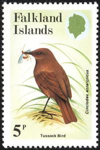 Colnect-1476-092-Tussock-Bird-Cinclodes-antarcticus.jpg