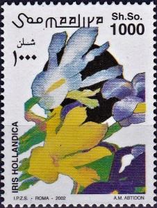 Colnect-4302-397-Iris-hollandica.jpg