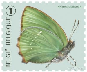 Colnect-2286-136-Green-Hairstreak-Callophrys-rubi.jpg