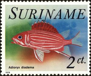 Colnect-4977-819-Crowned-Squirrelfish-Adioryx-diadema-.jpg