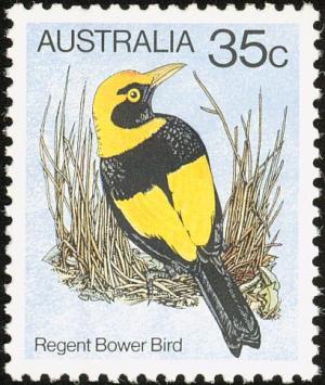 Colnect-5174-599-Regent-Bowerbird-Sericulus-chrysocephalus.jpg