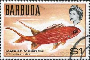 Colnect-881-984-Longspine-Squirrelfish-Holocentrus-rufus.jpg