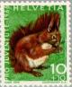 Colnect-140-304-Red-Squirrel-Sciurus-vulgaris.jpg