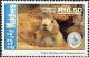 Colnect-4211-202-Prairie-Dog-Cynomys-sp.jpg