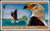 Colnect-2043-520-African-Fish-Eagle-Cuncuma-vocifer.jpg