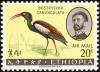 Colnect-2269-905-Wattled-Ibis-Bostrychia-carunculata.jpg