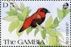 Colnect-2382-217-Red-Bishop-Pyromelana-orix.jpg