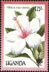 Colnect-4282-032-Hibiscus-rosa-sinensis.jpg