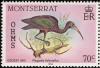 Colnect-834-002-Glossy-Ibis-Plegadis-falcinellus.jpg