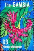 Colnect-4698-173-Hibiscus-schizopetalus.jpg