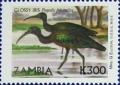 Colnect-488-965-Glossy-Ibis-Plegadis-falcinellus.jpg