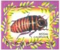 Colnect-5056-674-Hissing-Cockroach.jpg