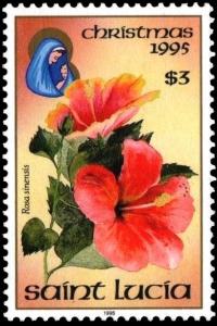 Colnect-2906-218-Hibiscus-rosa-sinensis.jpg