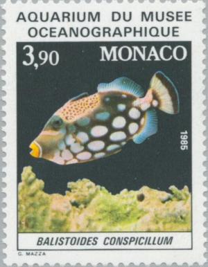 Colnect-149-087-Clown-Triggerfish-Balistoides-conspicillum.jpg