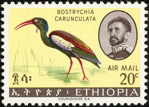 Colnect-2269-905-Wattled-Ibis-Bostrychia-carunculata.jpg