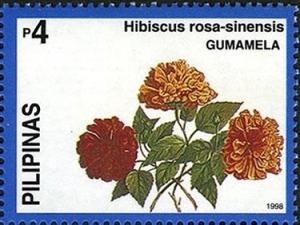 Colnect-2335-395-Hibiscus-rosa-sinensis.jpg