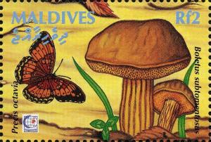 Colnect-2978-873-Gaudy-Commodore-Precis-octavia-Yellow-cracked-Boletus-Bo.jpg