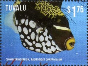 Colnect-3146-422-Clown-Triggerfish-Balistoides-conspicillum-.jpg