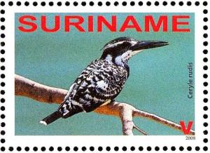 Colnect-3837-112-Pied-Kingfisher%C2%A0%C2%A0%C2%A0%C2%A0Ceryle-rudis.jpg