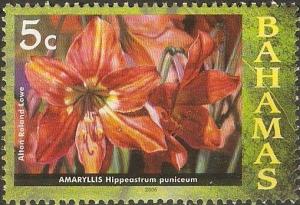 Colnect-4231-169-Amaryllis-Hippeastrum-Puniceum.jpg