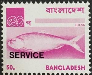 Colnect-4415-158-Hilsa---Ilish-Fish-Tenualosa-ilisha.jpg