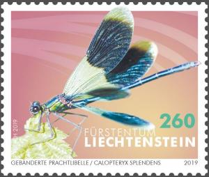 Colnect-5639-639-Banded-Demoiselle-Calopteryx-splendens.jpg