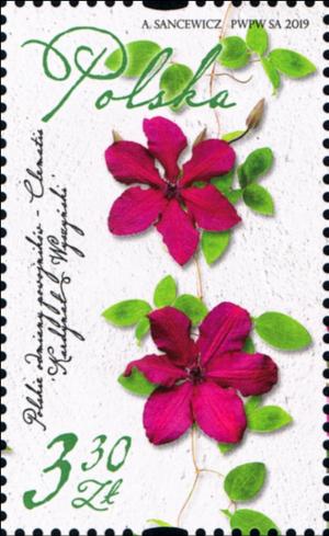 Colnect-5934-168-Clematis-Varieties-of-Poland.jpg