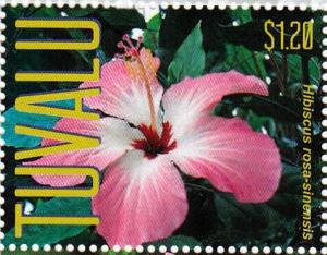 Colnect-6297-678-Hibiscus-rosa-sinensis.jpg