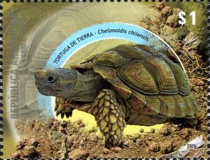 Colnect-956-293-Chaco-Tortoise--Geochelone-chilensis-.jpg