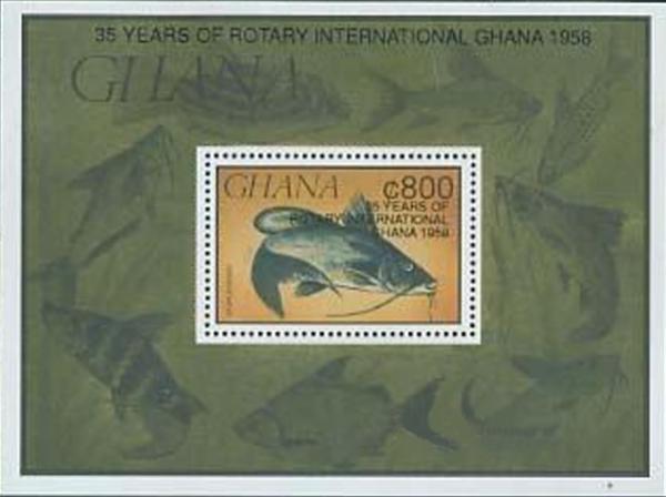 Colnect-2388-085-Black-Nile-Catfish-Bagrus-bajad---Overprinted.jpg